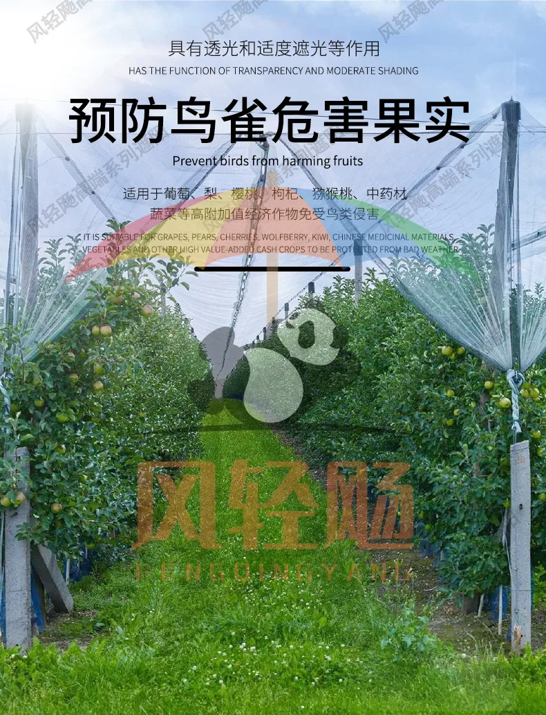 防鸟网英文详情页_03.jpg