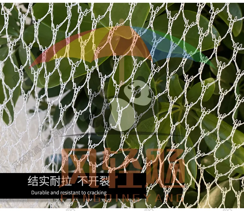 防鸟网英文详情页_07.jpg