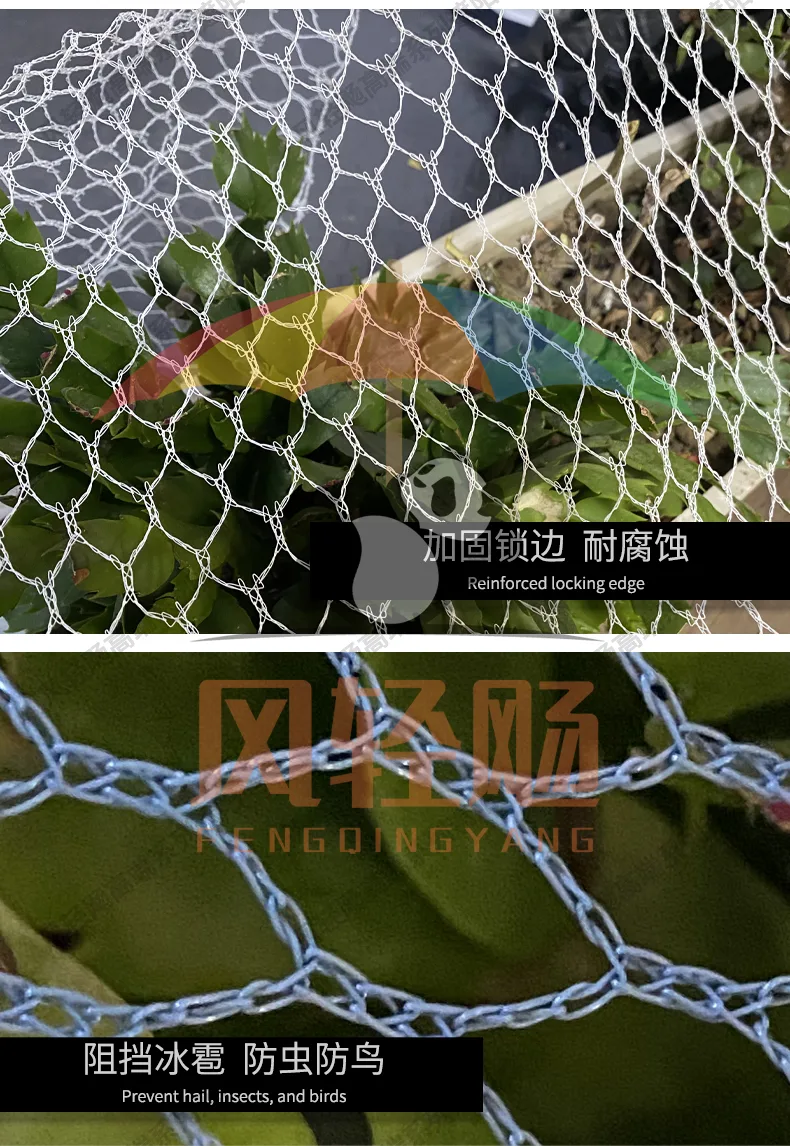 防鸟网英文详情页_08.jpg